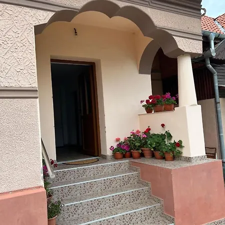 Villa Casa Andrei Cîrţişoara Exterior foto
