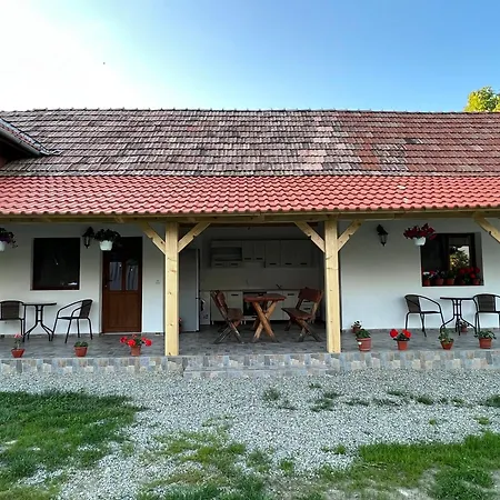 Villa Casa Andrei Cîrţişoara Exterior foto