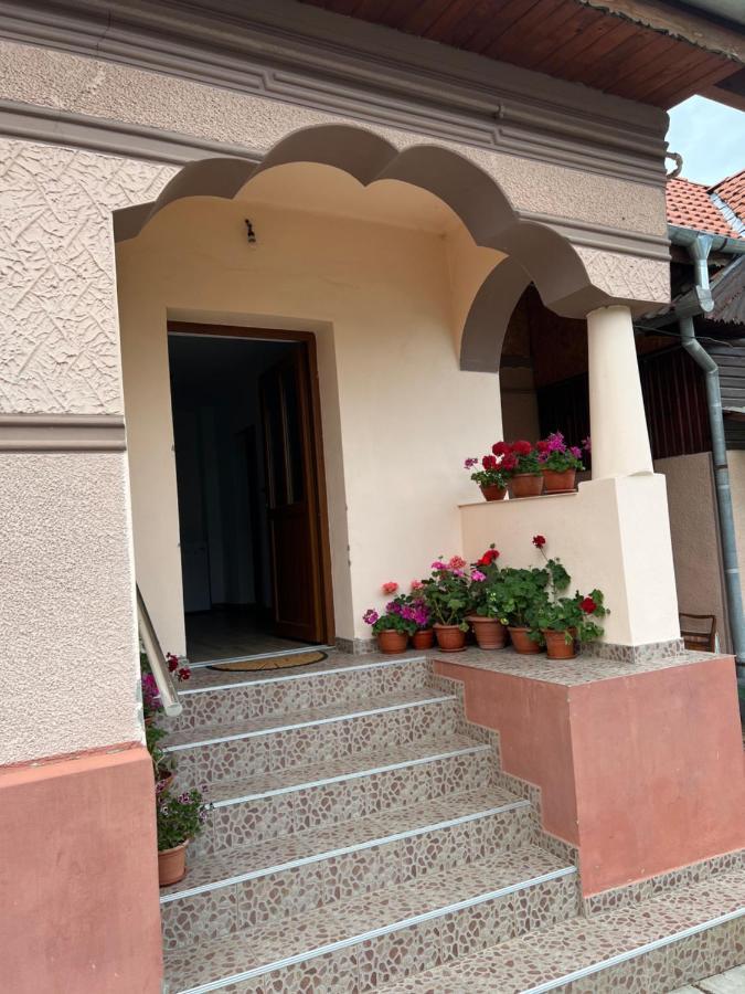 Casa Andrei * Cîrţişoara