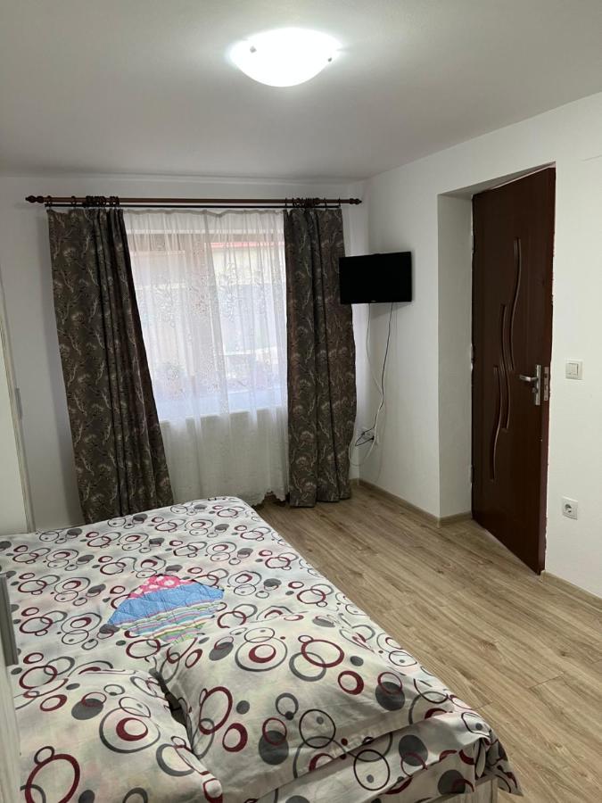Hébergement de vacances Casa Andrei Cîrţişoara