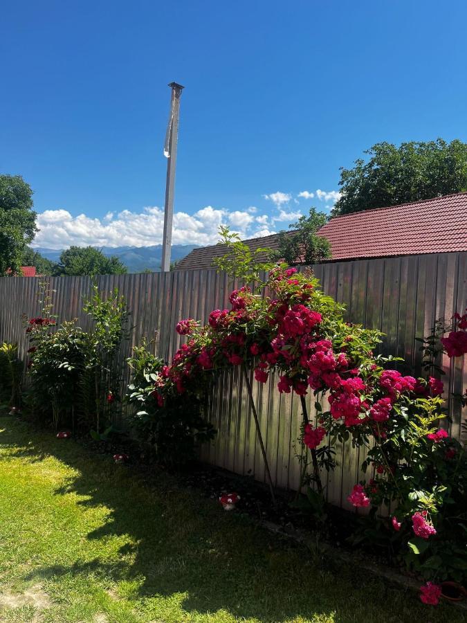 Hébergement de vacances Casa Andrei *