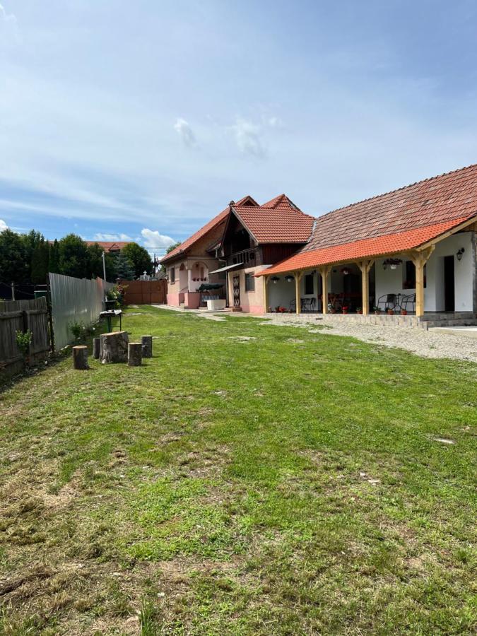 Casa Andrei Cîrţişoara